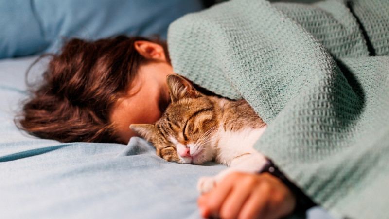 dormir avec animal de compagnie