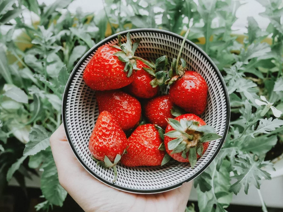 Les fruits de saison du mois d’avril