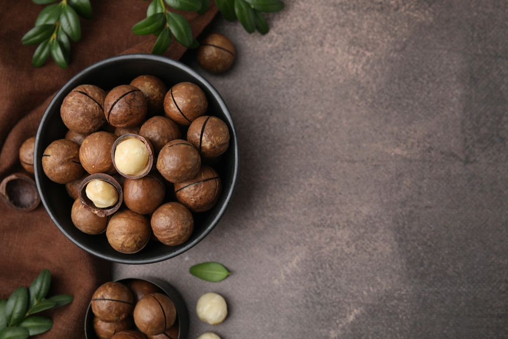 Les noix de macadamia sont-elles caloriques ?