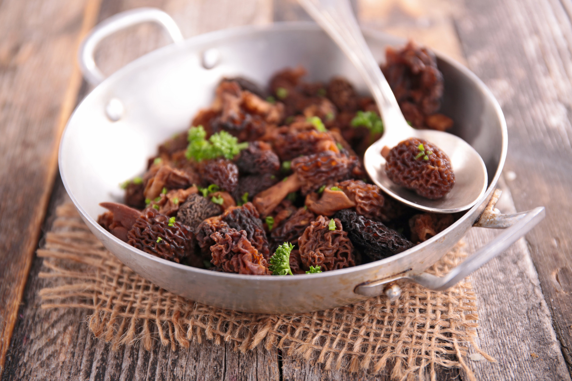 Morilles