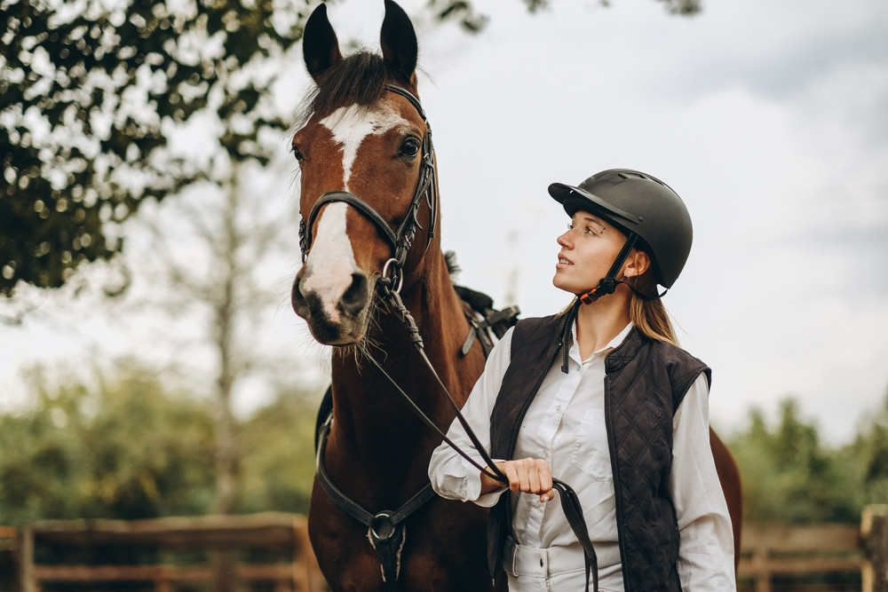 équitation