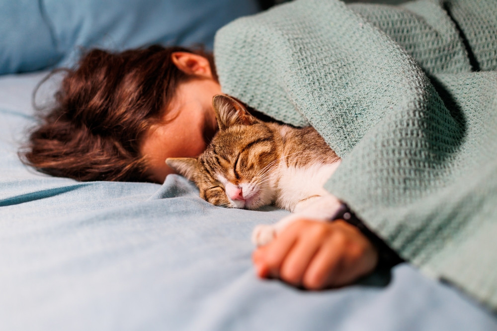 dormir avec animal de compagnie