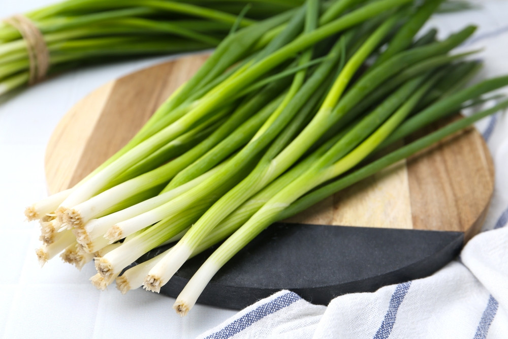 Par quoi remplacer la cébette dans une recette ?