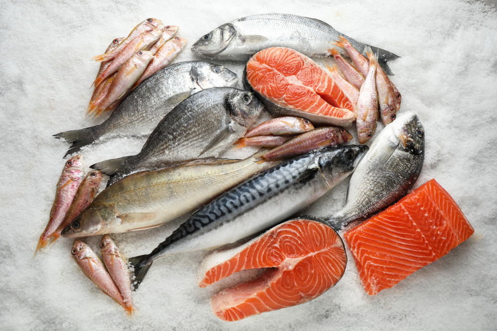 Quel est le poisson le plus protéiné ?