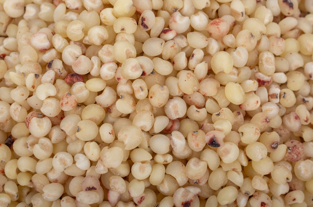 5 bonnes raisons de manger du sorgho