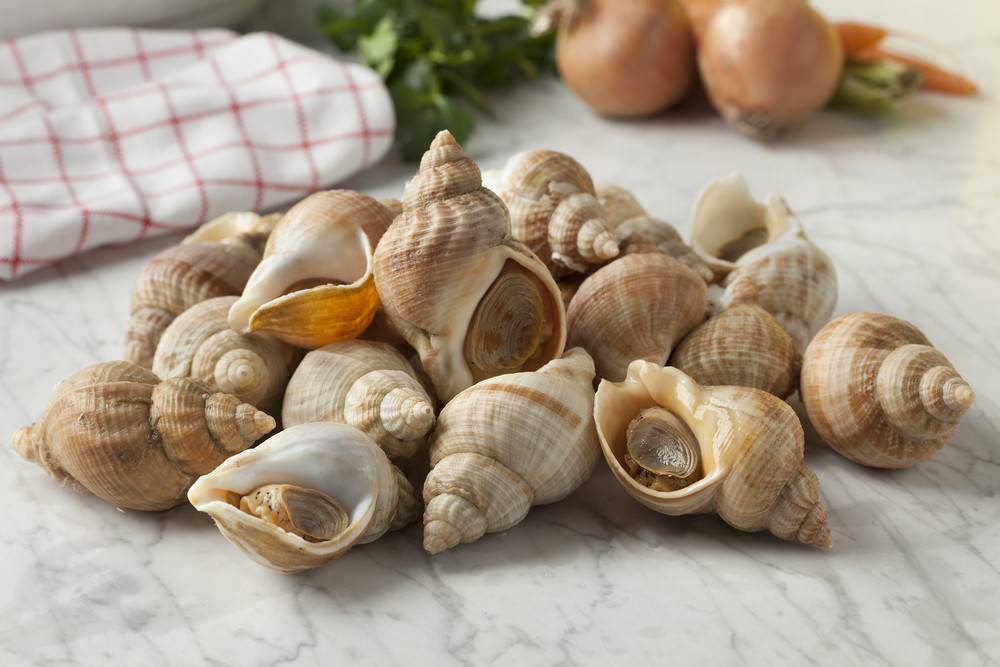 Comment faire cuire et assaisonner des bulots ?