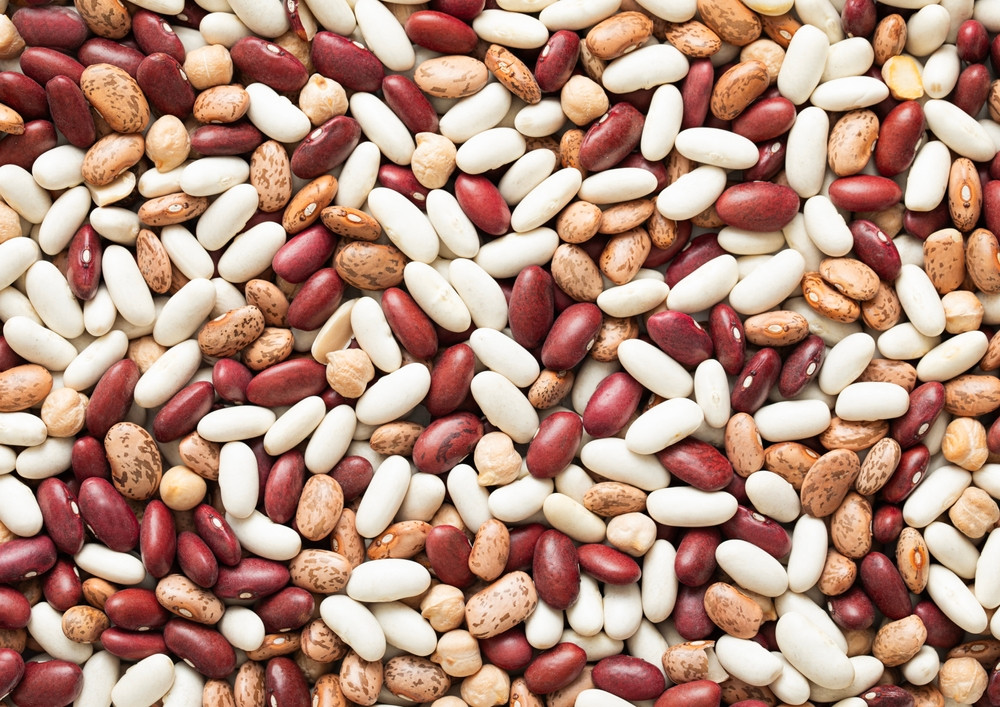 Haricots blancs vs haricots rouges : lesquels sont les plus caloriques ?