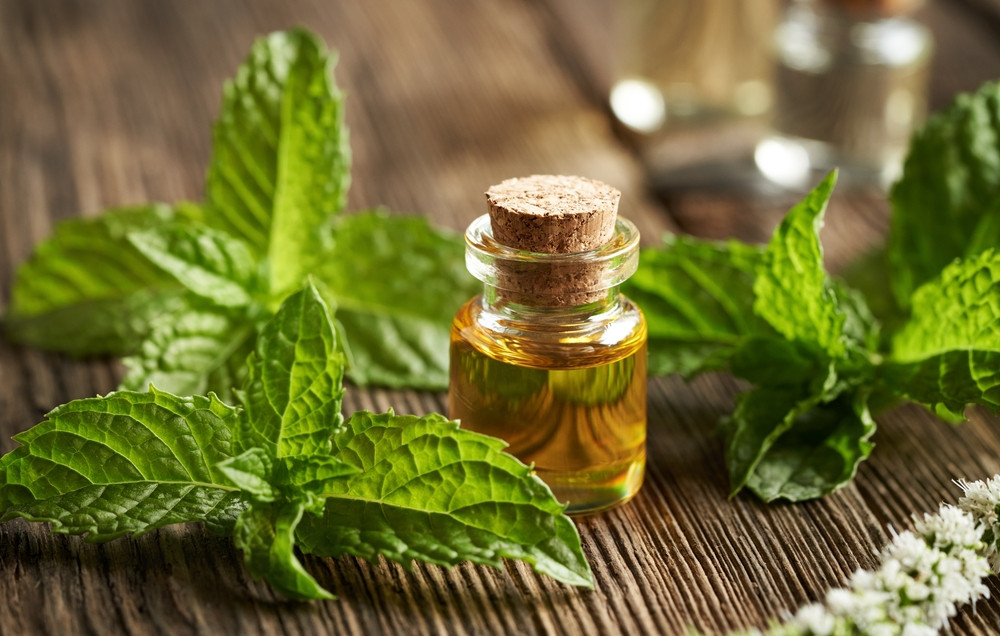 Les bienfaits de l’huile essentielle de menthe des champs