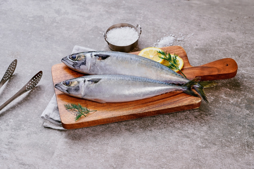 Le maquereau : bienfaits, calories et utilisation en cuisine