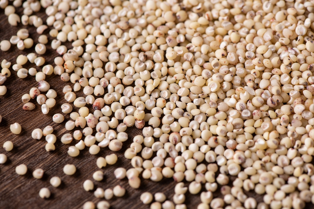 Comment cuisiner le sorgho ?