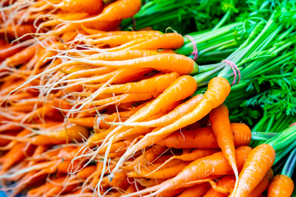 Les bienfaits des carottes nouvelles