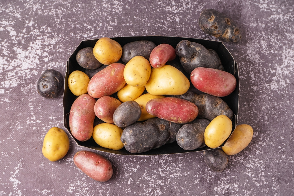 Quelle variété de pommes de terre pour quel plat ?