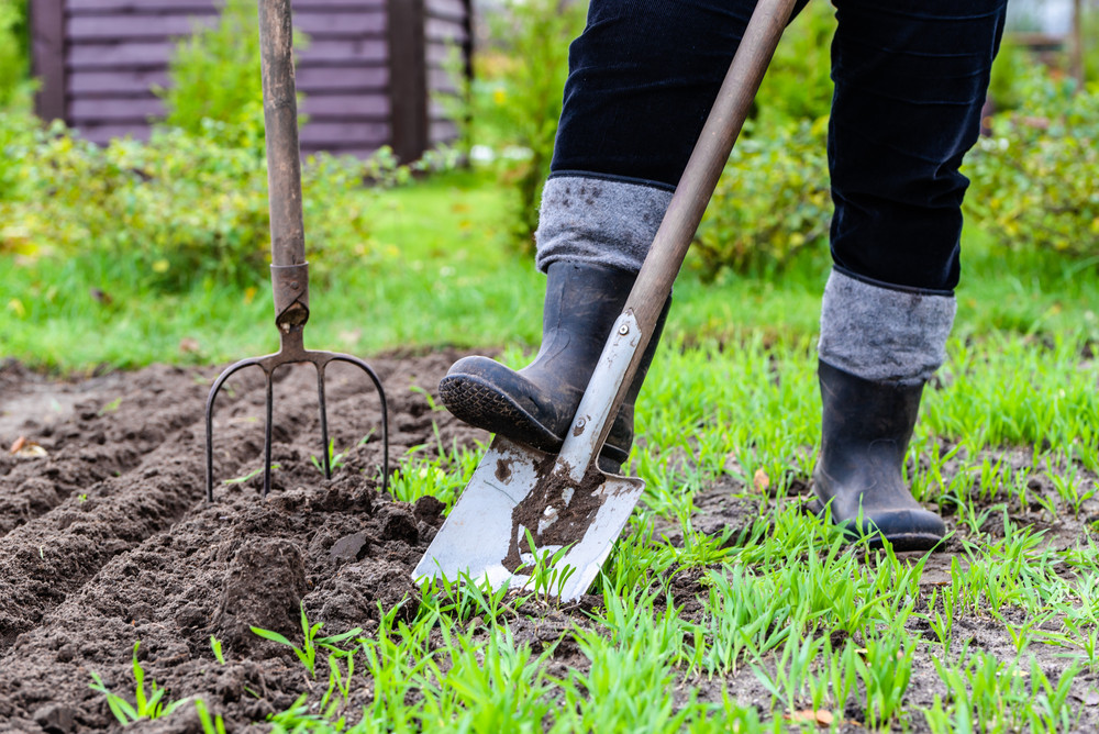 Potager : 5 conseils pour bien préparer la terre