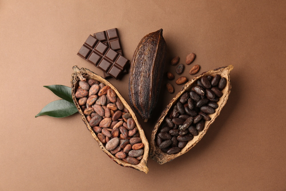 Quelle est la différence entre le cacao et le chocolat ?