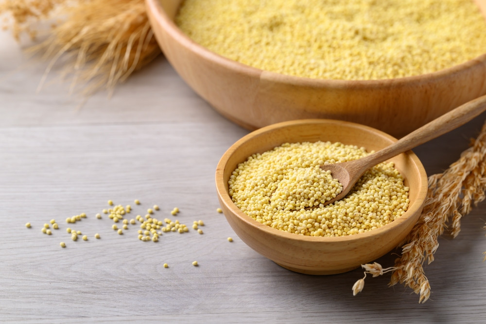 Est-ce que le millet est bon pour les intestins ?
