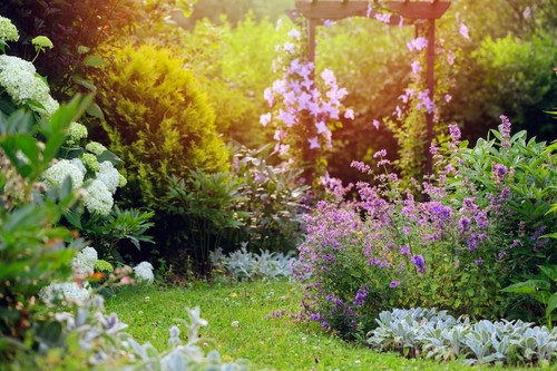 Tout ce qu’il y a à faire dans votre jardin en juillet