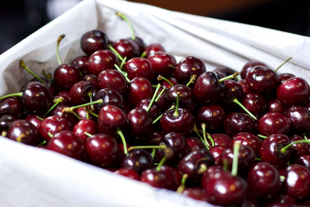 cerises
