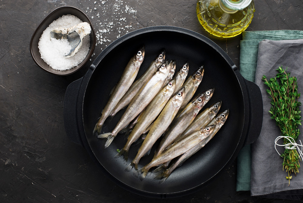 sardine