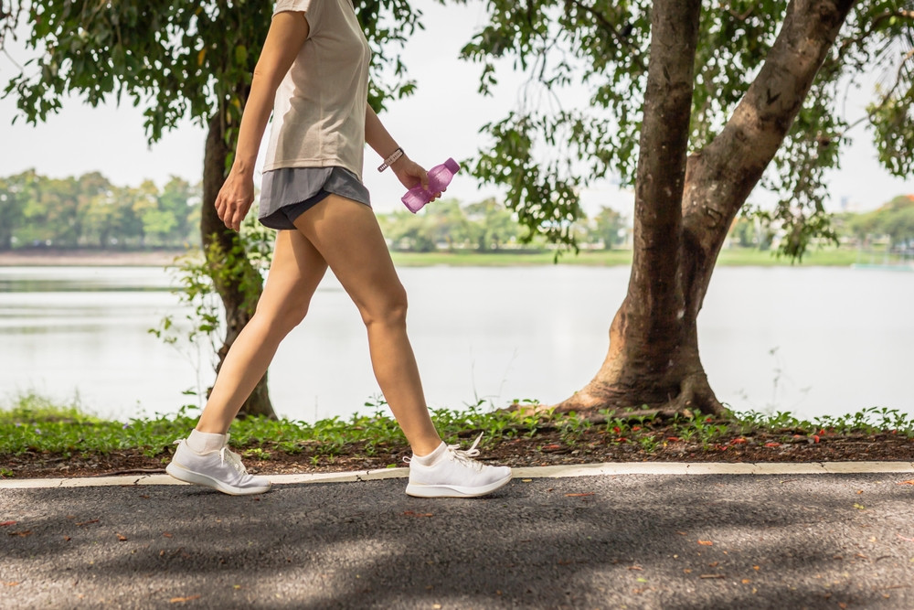 Les impacts de la marche sur la circulation sanguine