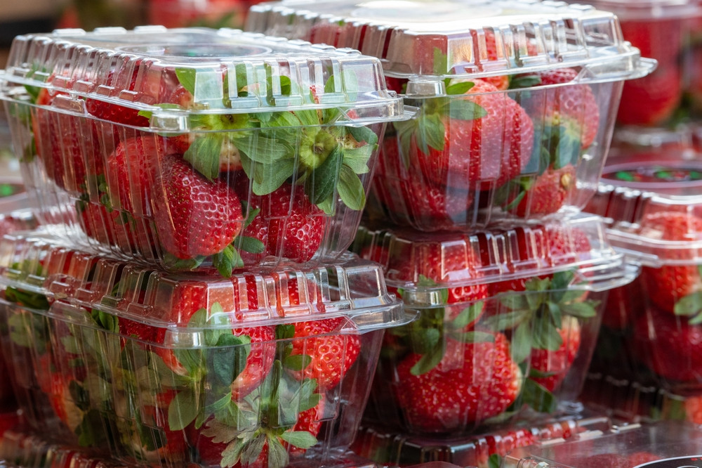 Quelle variété de fraises choisir pour éviter les pesticides ?