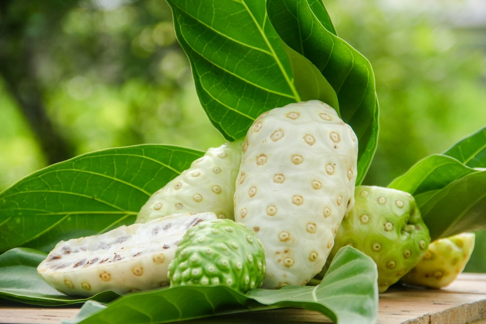 noni
