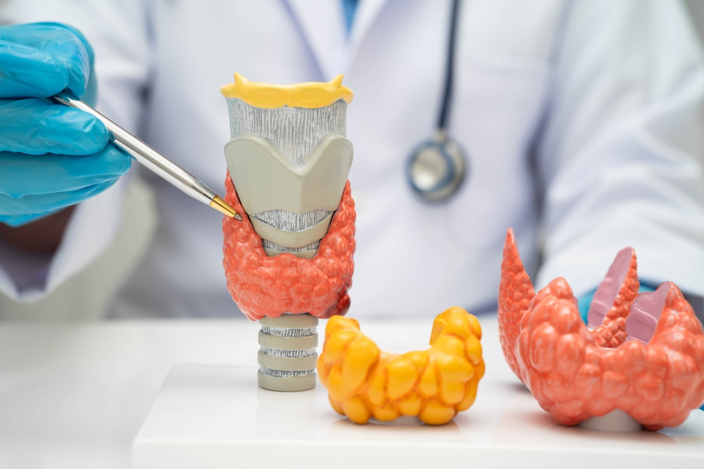 Quelle est l’espérance de vie quand on a un cancer de la thyroïde ?