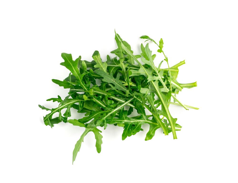 roquette roquette