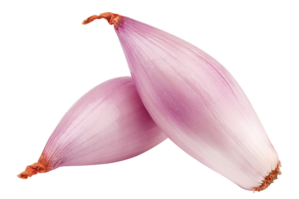 échalote échalote