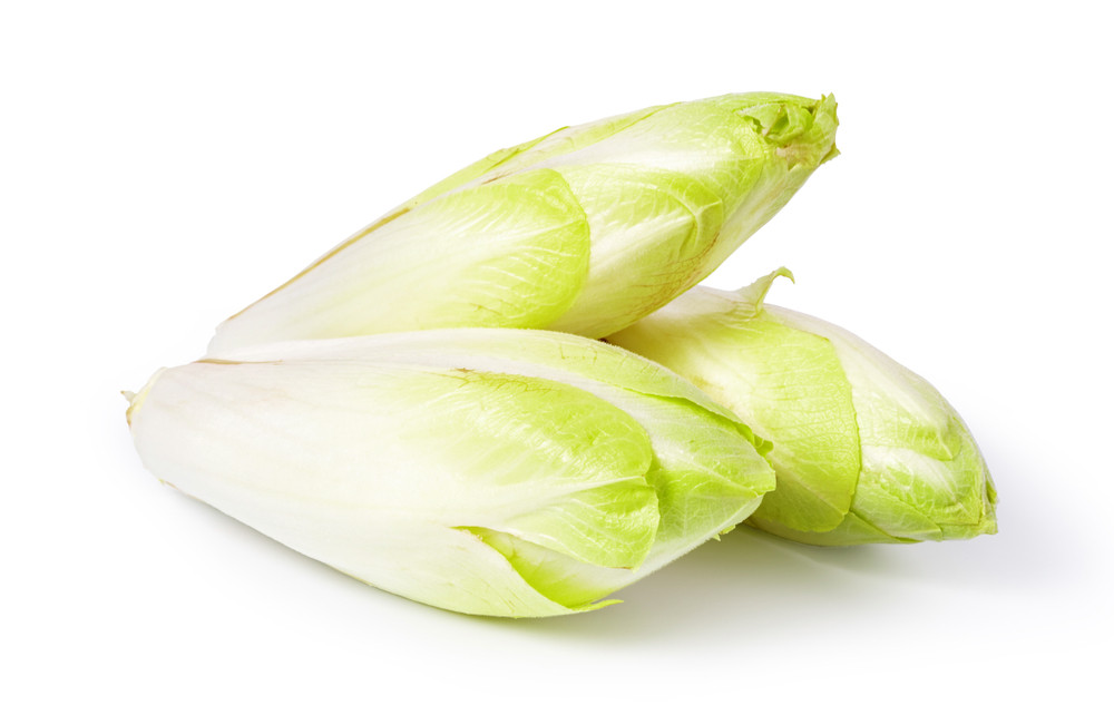 endive endive