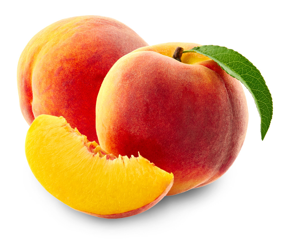 pêche
