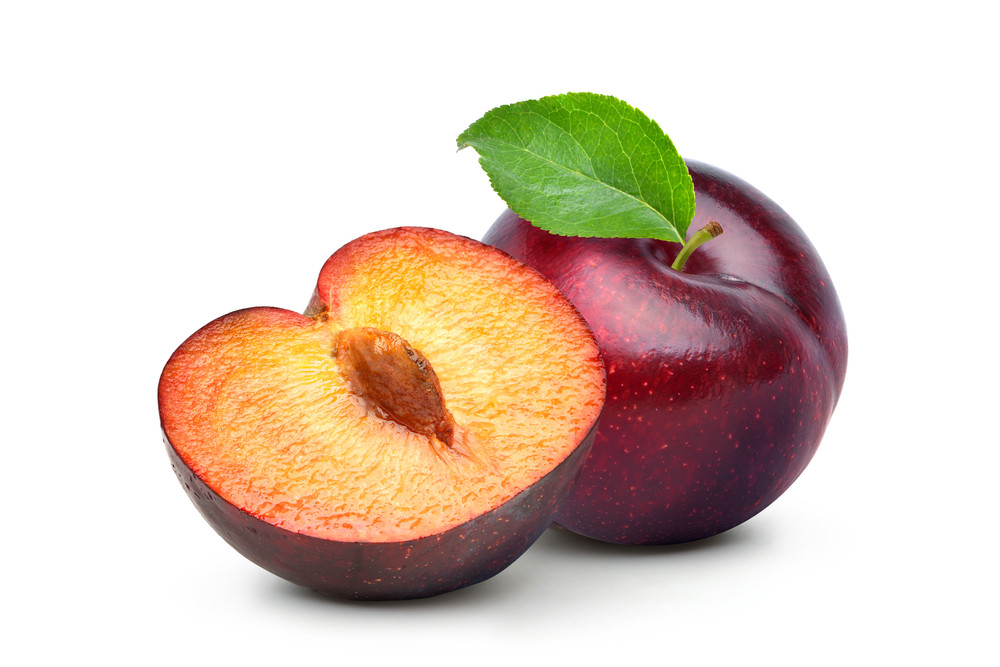 prune prune