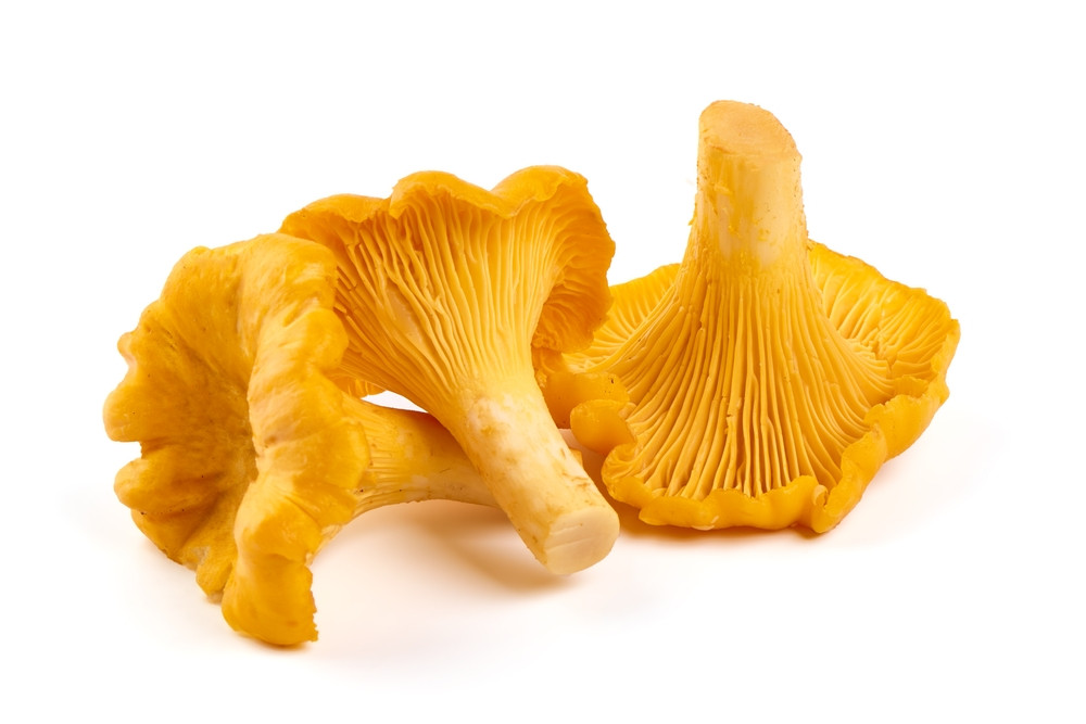 girolle girolle