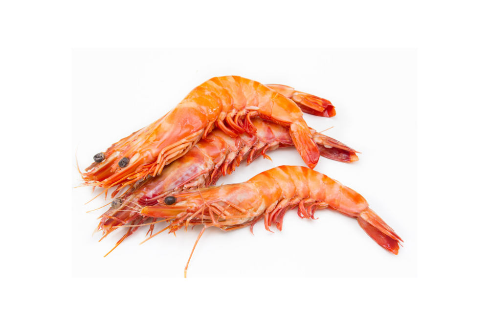 gambas gambas