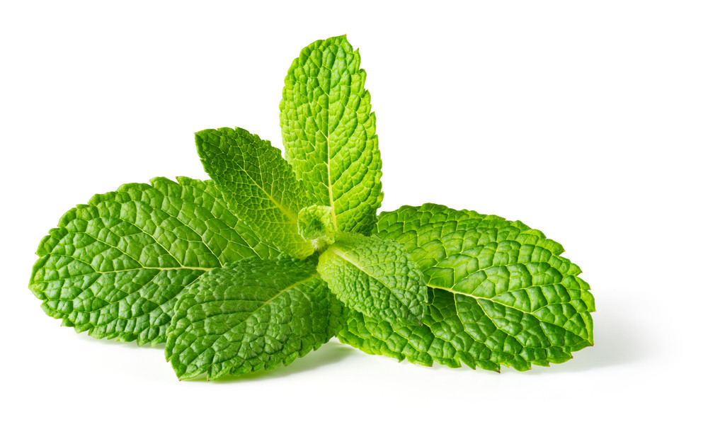 menthe