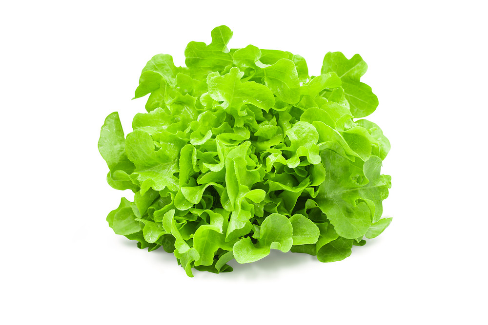 salade verte