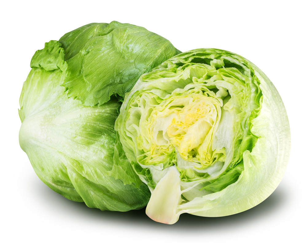 laitue iceberg