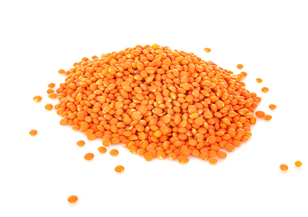 lentilles corail