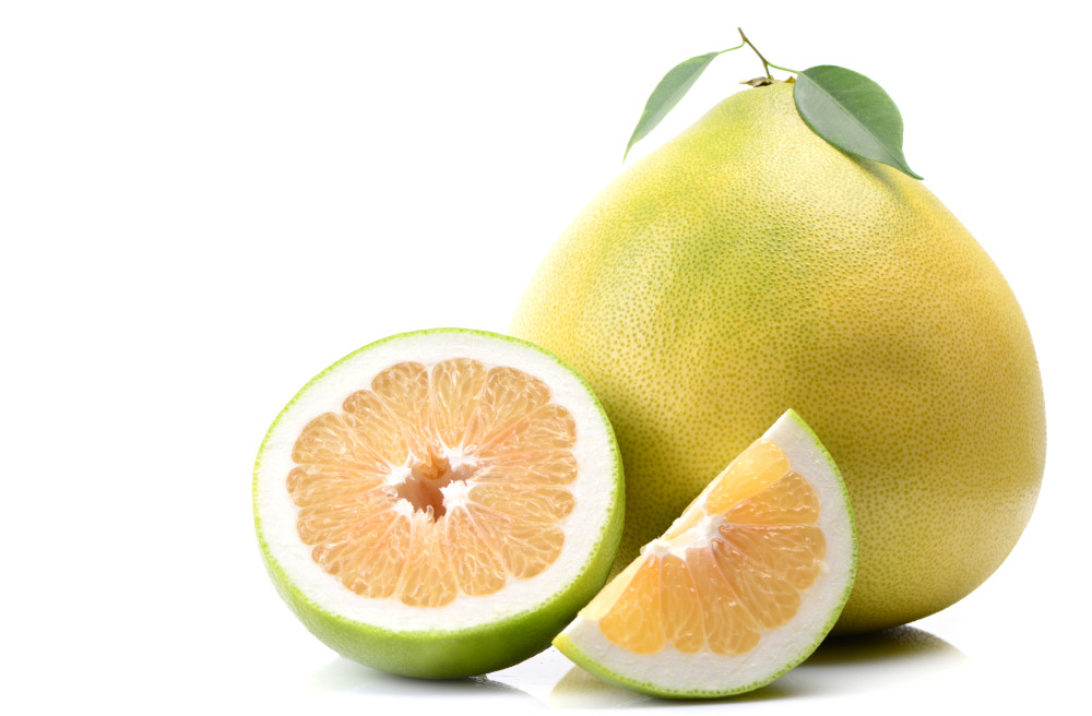 pomelo pomelo