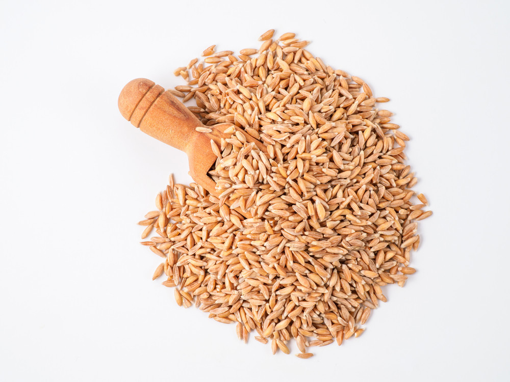 Farro