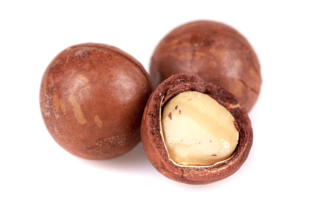 Noix de macadamia Noix de macadamia