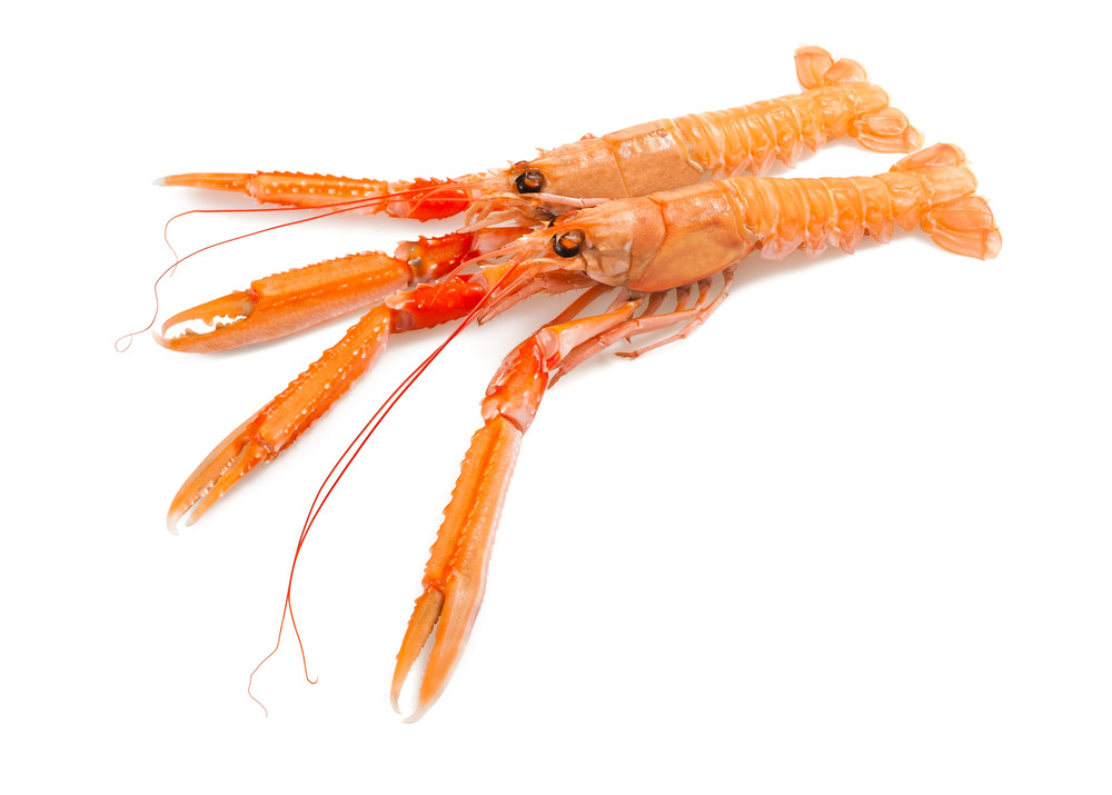 langoustines cuites