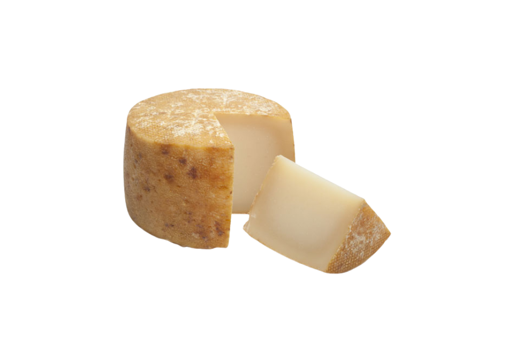 Peccorino