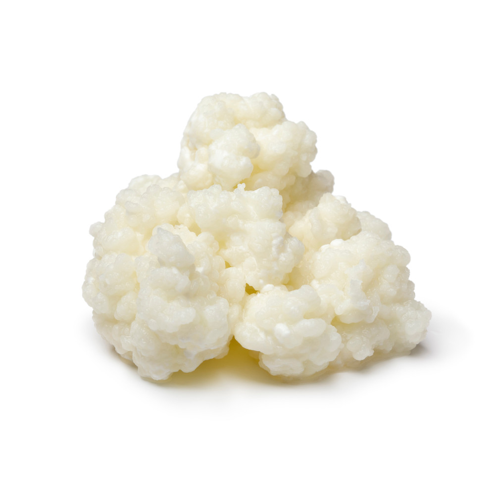 kéfir kéfir