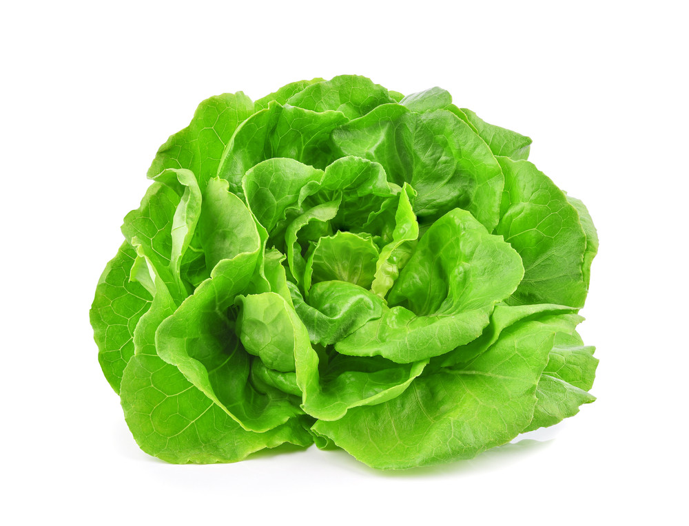 Laitue romaine