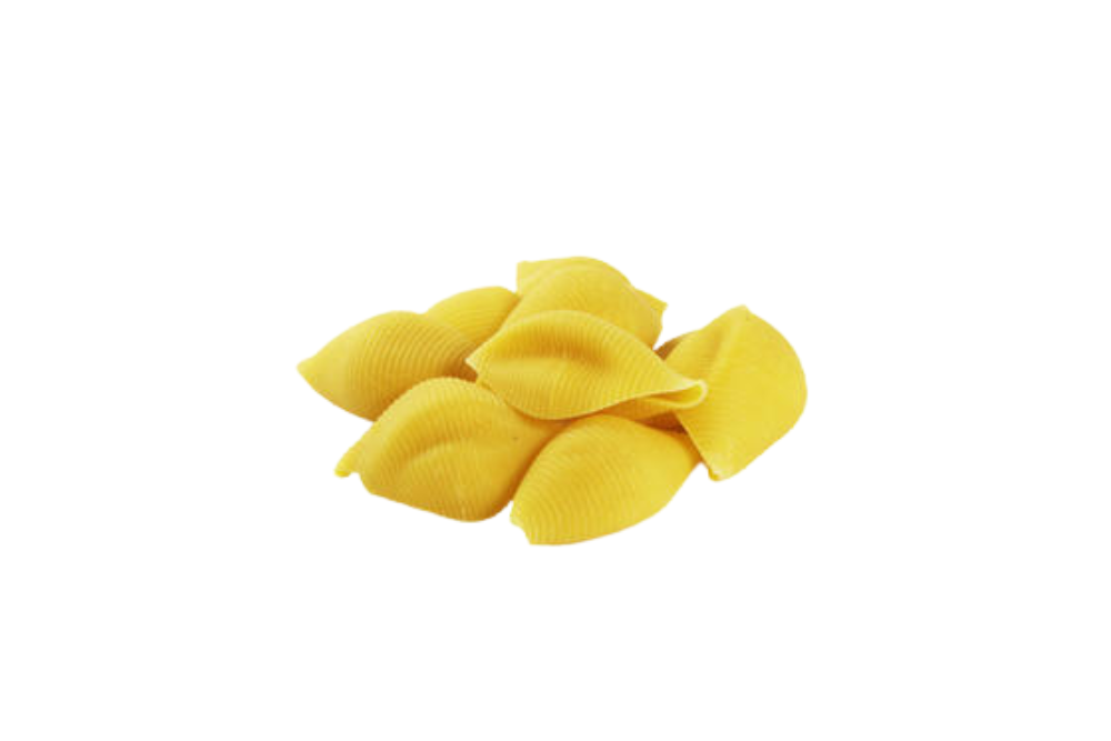 conchiglioni conchiglioni