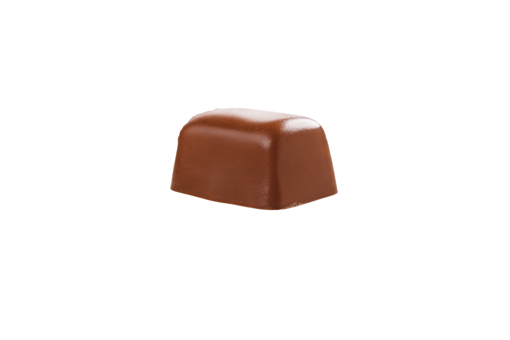 chocolat praliné chocolat praliné
