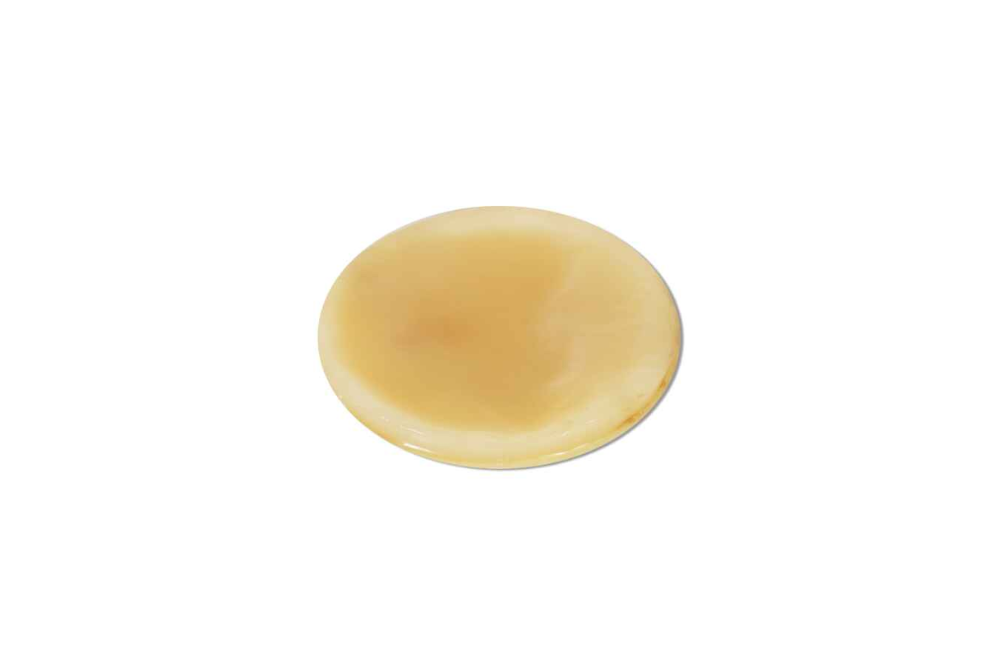 souche de Kombucha