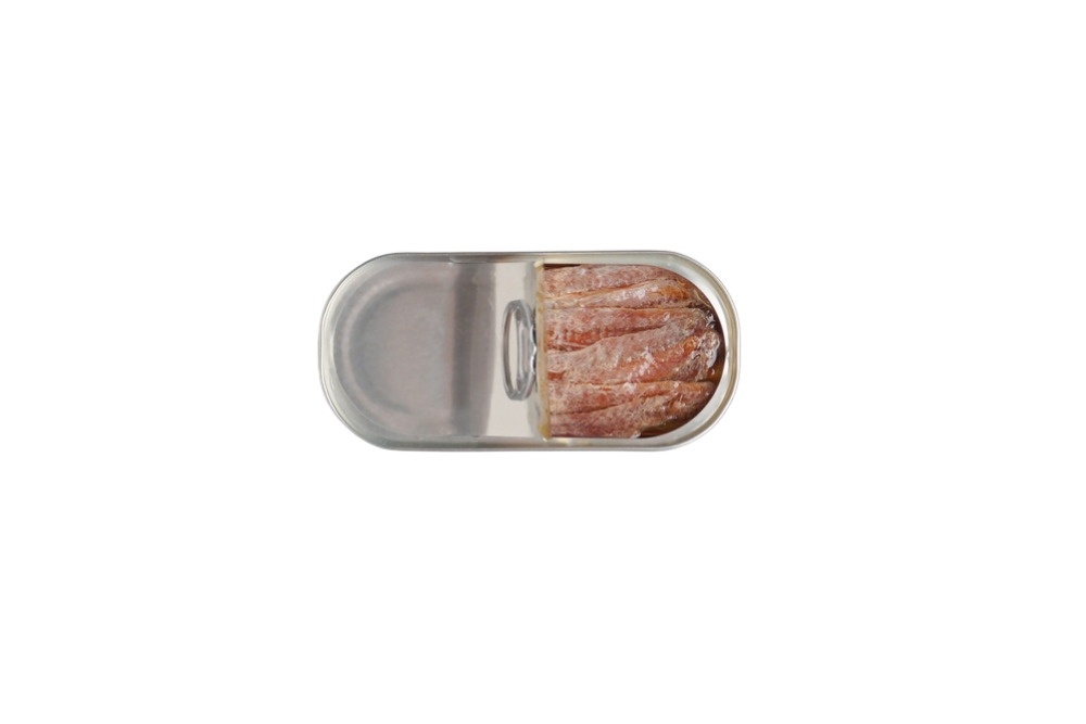 filet de sardine au naturel