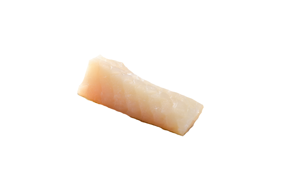 poisson blanc