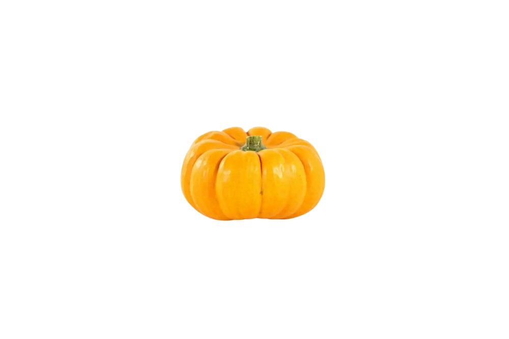 courge mini-jack courge mini-jack
